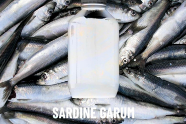 Γάρος Sardine 500ml