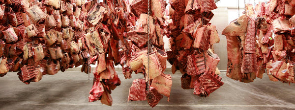 T-bone από μοσχάρι, dry aged 28-35 days, John Stone